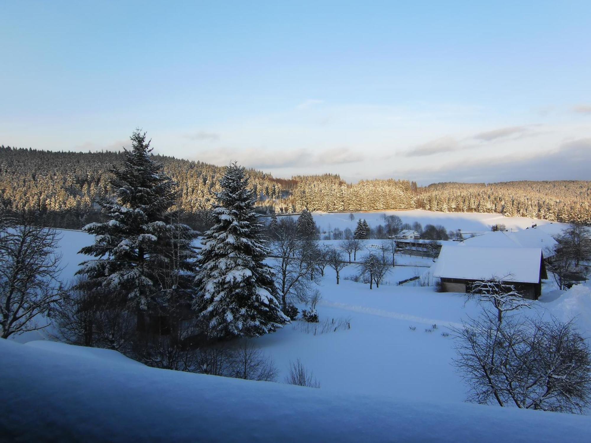 Landhotel Bartlehof Schluchsee Exterior foto